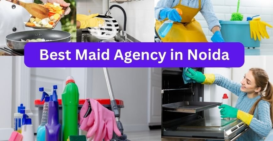 Best Maid Agency in Noida