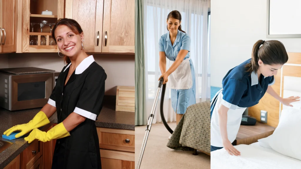 Domestic help Services banner